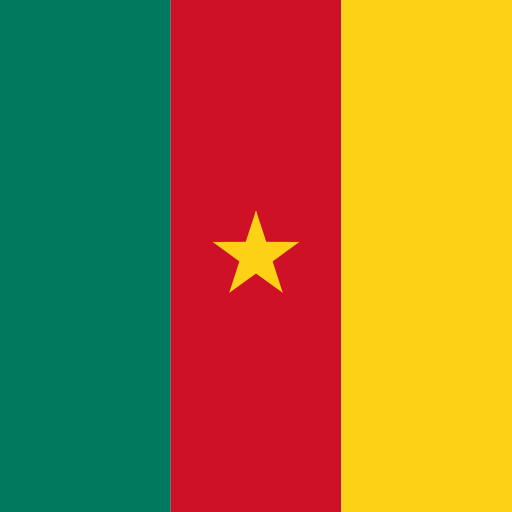 {locationName=Cameroon, locationLogo=/img/flags/cm.png, locationCode=CM, operatorList=[Ljava.lang.Object;@2324c9b7}